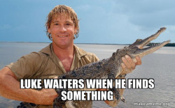 Steve irwin