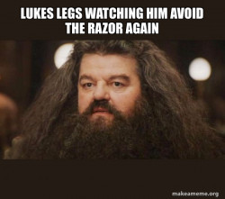 Hagrid - I should not have said that