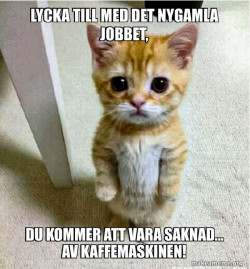 Lycka till men nygamla jobbet, du kommer att vara saknad!
