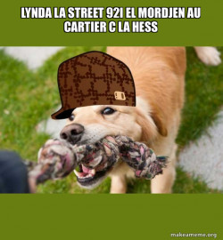 Scumbag dog
