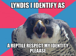 Millennial Falcon