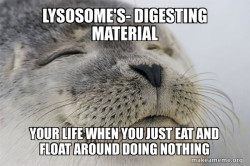 Satisfied Seal