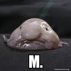 Blobfish