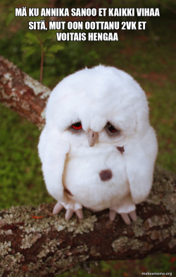 Sad Owl