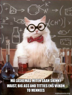 Chemistry Cat