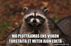 Evil Plotting Raccoon