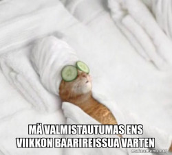 Pampered Cat Meme
