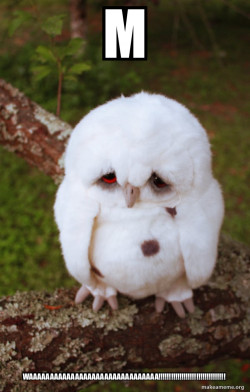 Sad Owl
