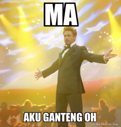 Tony Stark Success