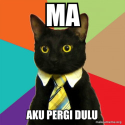 Business Cat