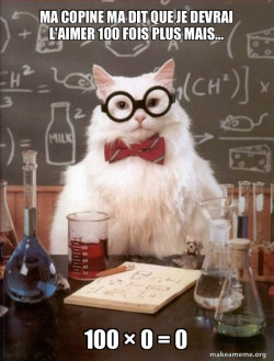 Chemistry Cat