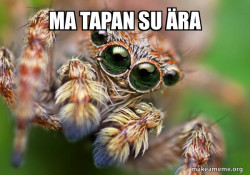 Hipster Spider