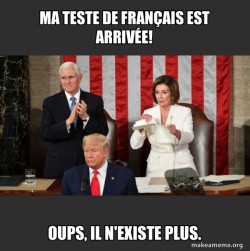 Nancy Pelosi ripping Trump's speech up