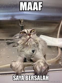 Cat Bath Returns