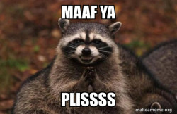 Evil Plotting Raccoon