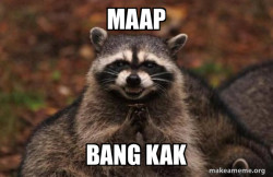 Evil Plotting Raccoon