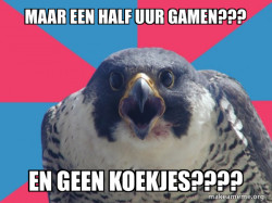 Millennial Falcon