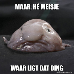 Blobfish
