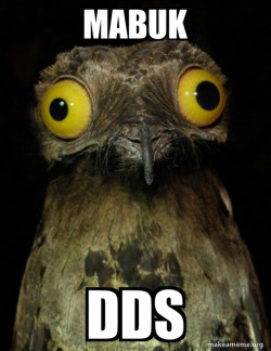 Weird Stuff I do Potoo