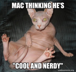 Hairless Cat
