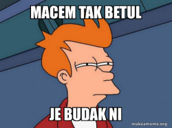 Futurama Fry