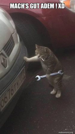Mechanic Cat