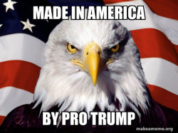 American Pride Eagle