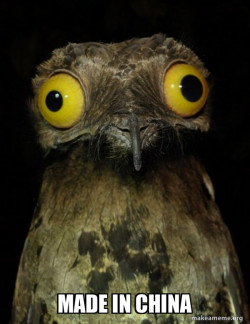 Weird Stuff I do Potoo