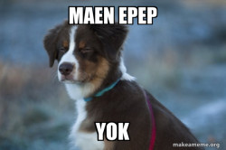 Unsure Dog