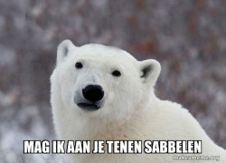 Popular Opinion Polar Bear