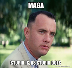 Maga stupid is as stupid does