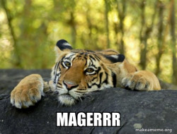 Confession Tiger