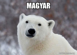 Popular Opinion Polar Bear