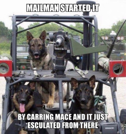 DOGS OF WAR