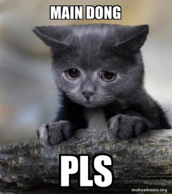 Confession Cat