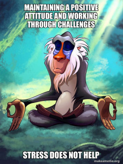 Rafiki Meditating - Lion King