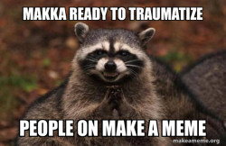 Evil Plotting Raccoon