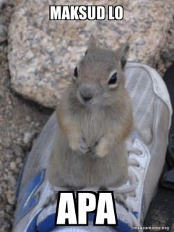 Standover Squirrel