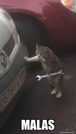 Mechanic Cat