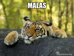 Confession Tiger