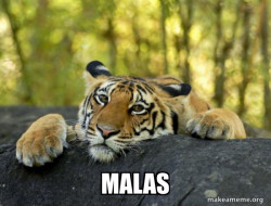Confession Tiger