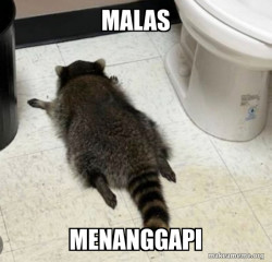 MALASS