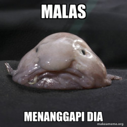 Khusus yang ngeyel