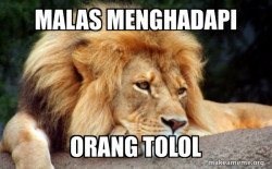Confession Lion