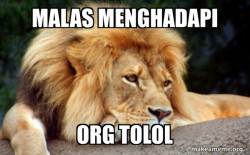 Confession Lion