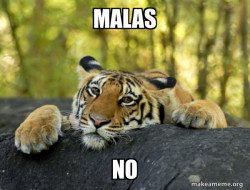 Confession Tiger