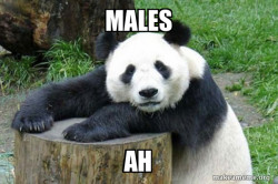 Confession Panda