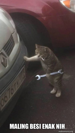 Mechanic Cat