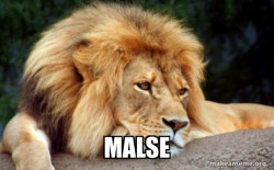 Confession Lion