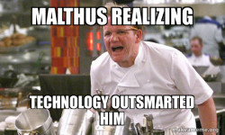Gordon Ramsay Hell's Kitchen